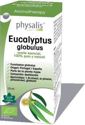 Essence Eucalyptus Globulus 30ml Bio