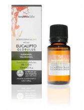 Eukalyptus Globulus ätherisches Öl 10 ml