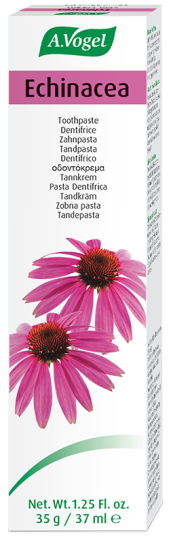 Zahnpasta Dentaforce Echinacea 100 gr