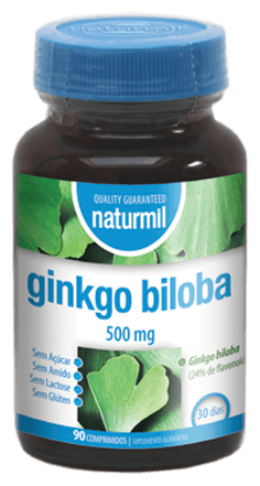 Ginkgo Biloba 90 Tabletten