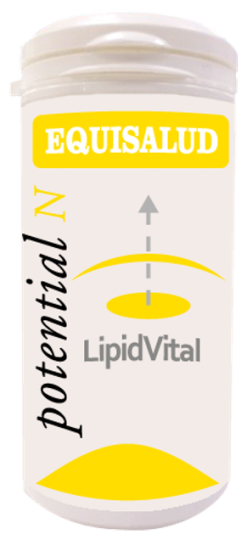 Lipidvital 60 Kapseln