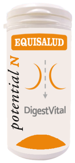 Digessvital 60 Kapseln