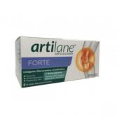 Artilane Forte 15 Fläschchen