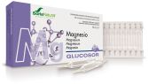 Glucosor Magnesium 28 Fläschchen x 2 ml