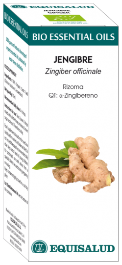 Bio ätherisches Öl Ingwer 10 ml Qt: Alfa-Zingiber