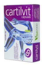 Cartivit Forte 60 Kapseln