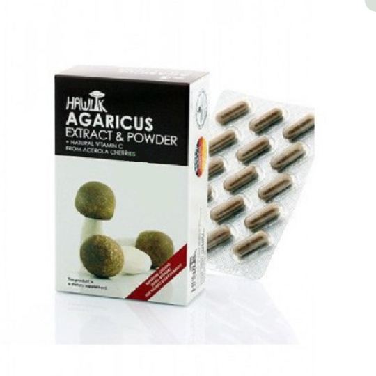 Agaricus Subrufescens Extrakt und Pulver 60 Kapseln