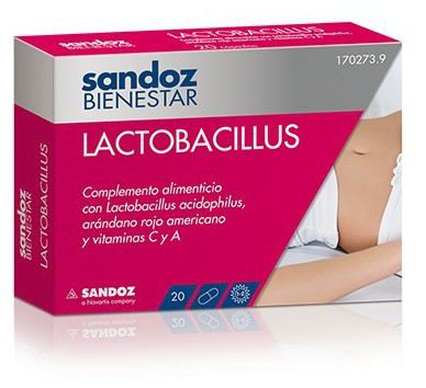 Lactobacillus 20 Kapseln