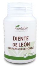 Leon Tooth 90 Tabletten