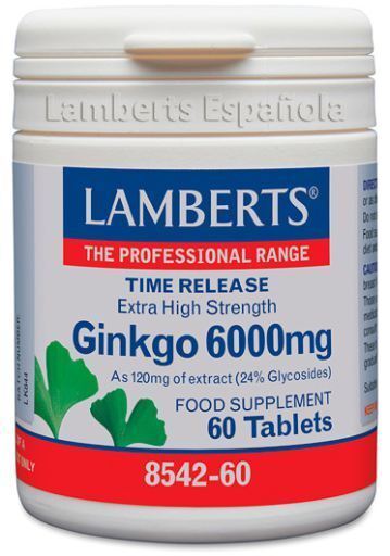 Ginkgo Biloba extra hohe Leistung 6.000 mg