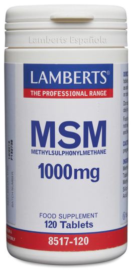 MSM 120 Tabletten