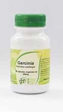 Garcinia Cambogia 500 mg 90 Kapseln