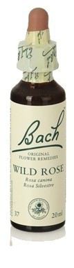 Bach 20 Wildrose 20 ml