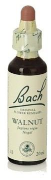 Bach 33 Walnuss 20 ml