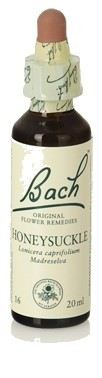 Bach 16 Geißblatt 20 ml