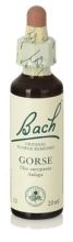 Bach 13 Ginster 20 ml