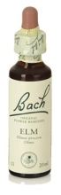 Bach 11 Ulme 20 ml