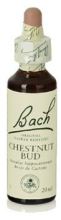 Bach 7 Kastanienknospe 20 ml