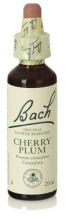 Bach 6 Kirschpflaume 20 ml