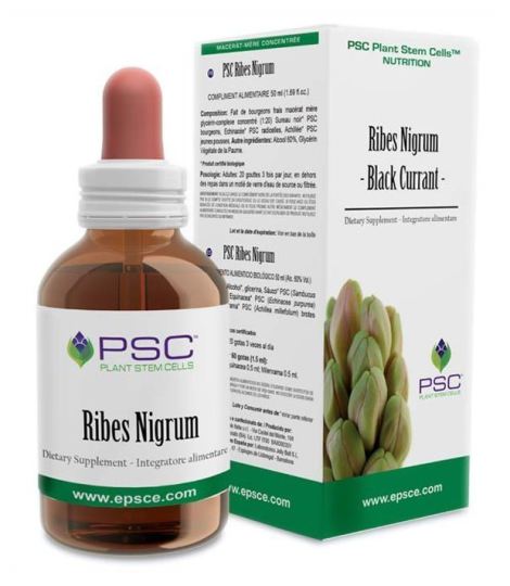 Ribes nigrum Psc 15Ml.