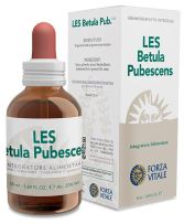 Les Birke Betula pubescens 50ml.