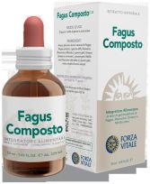 Kompost-Extrakt Fagus 50ml.