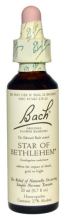 Bach 29 Stern von Bethlehem 20 ml