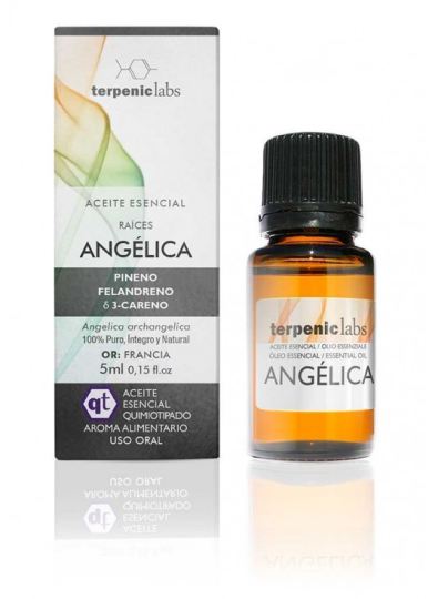 Angelikawurzel 30 ml