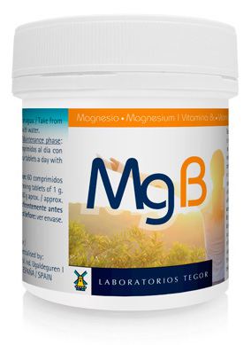 Mgb 60 Tabletten