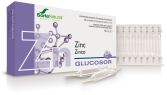 Glucosor Zink 28 Fläschchen