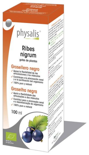 Ribes Nigrum 100ml Bio-Extrakt