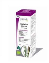 Extrakt Equisetum Bio 100 ml