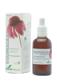 Echinacea Extract Glycerine 50ml