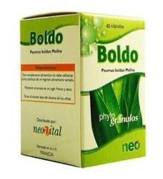 Boldo Holzpellets Neo 45 Cap.