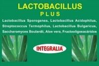 Lactobacillus Plus 60 Kapseln