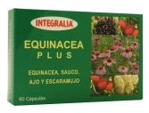 Echinacea Plus 60 Kapseln