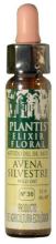 Wild Oat Plantis Nr. 36 10ml.