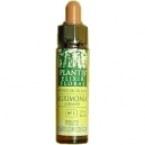 White Chestnut Plantis Nr. 35 10 ml