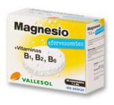 Brausetabletten Magnesium + B 24Comp.