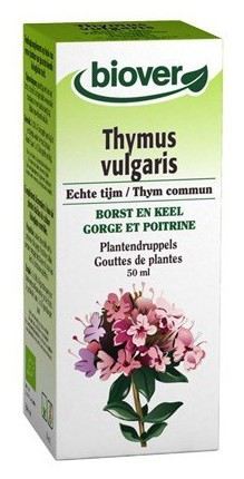 Thymus vulgaris Thymian 50 ml