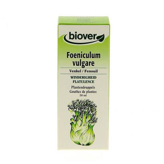 Foeniculum Vulgare Fenchel 50 ml