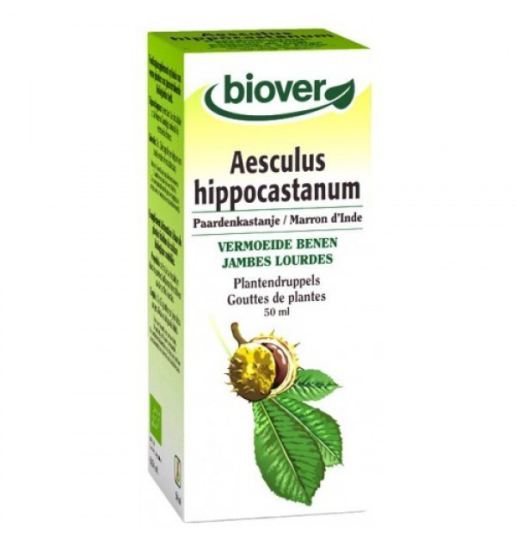 Aesculus Hippocastanum Rosskastanie 50 ml