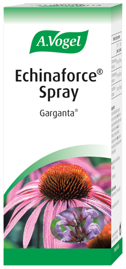 Echinacea-Spray 30 ml