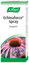 Echinacea-Spray 30 ml