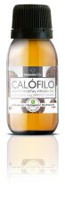 Calophyllum oil