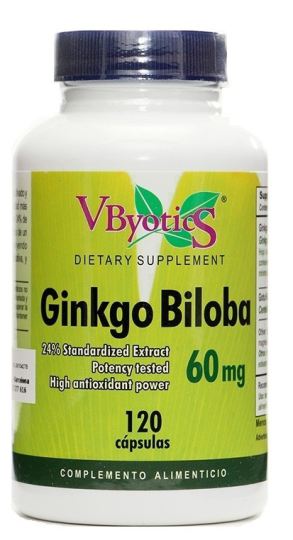 Ginkgo Biloba 120 mg 120 Kapseln