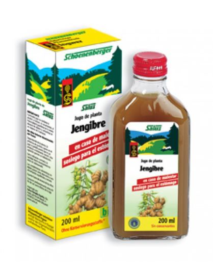 Ingwersaft 200 ml