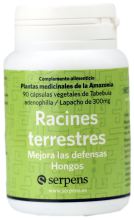 Terrestrische 90cap Racines.