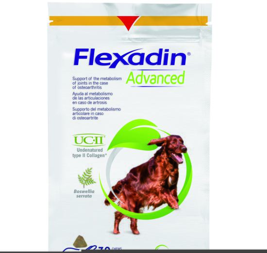 Flexadin Advance Bw Hund