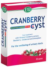 Cranberry Zyste (Nocyst) 30comp.